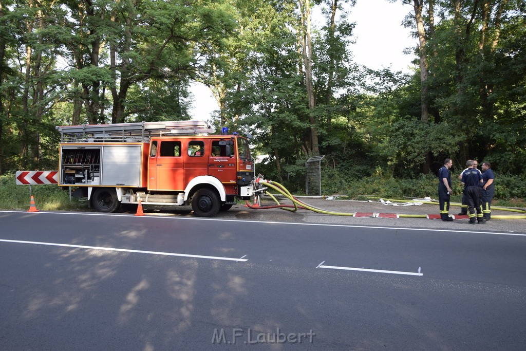 Waldbrand Koeln Hoehenhaus Hoehenfelder Mauspfad P204.JPG - Miklos Laubert